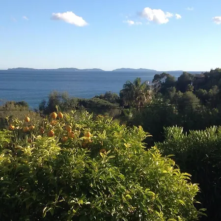 Holiday home Les Lauriers Roses La Croix-Valmer